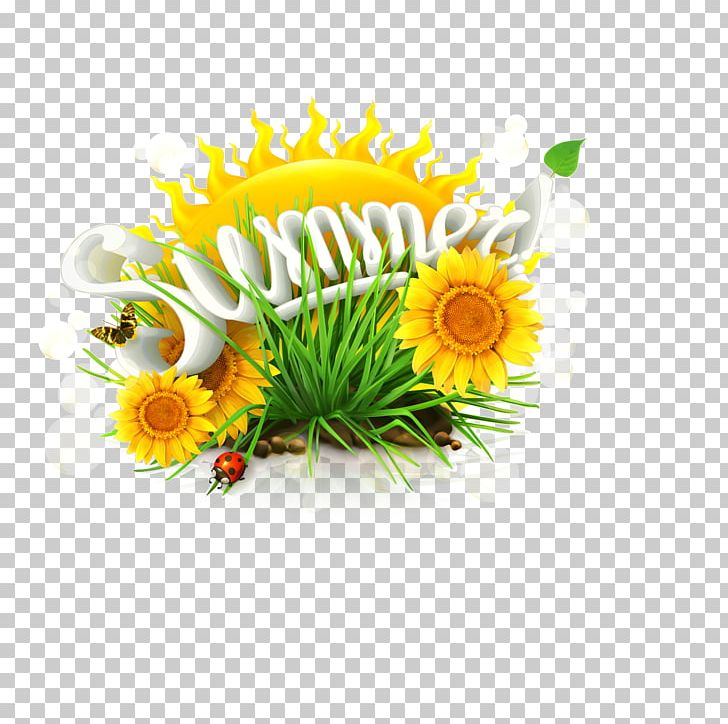 Common Sunflower Summer Solstice PNG, Clipart, Big Picture, Color, Daisy, Daisy Family, Encapsulated Postscript Free PNG Download