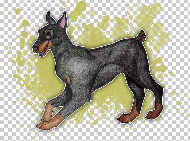 Dobermann Miniature Pinscher German Pinscher Manchester Terrier English Toy Terrier PNG, Clipart, Breed, Carnivoran, Chris Brown, Dobermann, Dog Free PNG Download