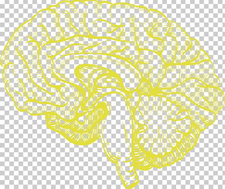 The Stimulated Brain: Cognitive Enhancement Using Non-Invasive Brain Stimulation Human Brain Transcranial Direct-current Stimulation Agy PNG, Clipart, Brain, Brain Stimulation, Cognition, Cognitive Enhancement, Drawing Free PNG Download