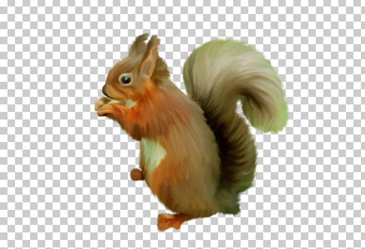Tree Squirrel GIMP PNG, Clipart, Animal, Animals, Beak, Blog, Chicken Free PNG Download