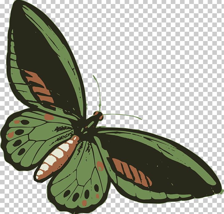 Butterfly Insect Green Drawing Sticker PNG, Clipart, Aglais Io, Arthropod, Bluegreen, Brush Footed Butterfly, Butterfly Free PNG Download