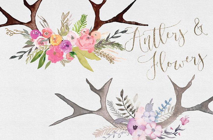 Deer Watercolour Flowers Antler PNG, Clipart, Antler, Art, Blossom, Branch, Calligraphy Free PNG Download
