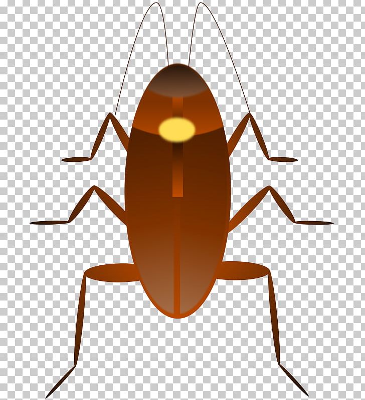 Dr. Cockroach PNG, Clipart, American Cockroach, Animals, Arthropod, Brown Cockroach, Cockroach Free PNG Download