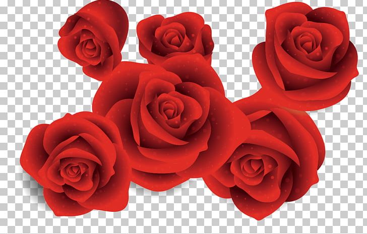 Garden Roses Beach Rose Euclidean PNG, Clipart, Cut Flowers, Download, Encapsulated Postscript, Floribunda, Flower Free PNG Download