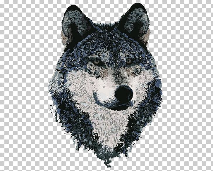 Gray Wolf Turanism Turkic Peoples Pan-Turkism PNG, Clipart, Carnivoran, Coyote, Dek, Dog, Dog Like Mammal Free PNG Download