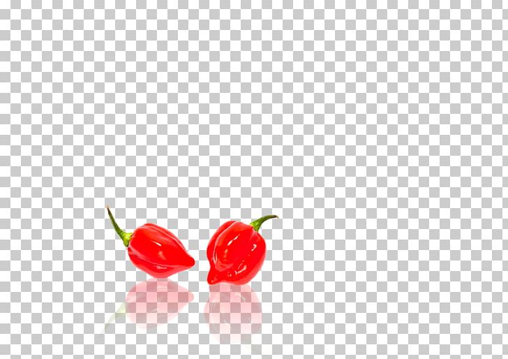 Habanero Bird's Eye Chili Cayenne Pepper Tabasco Pepper Chili Pepper PNG, Clipart,  Free PNG Download