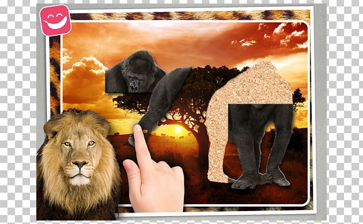 Jigsaw Wildlife Photo Puzzle Yes PNG, Clipart, Aardvark, Animals, Big Cat, Big Cats, Carnivoran Free PNG Download