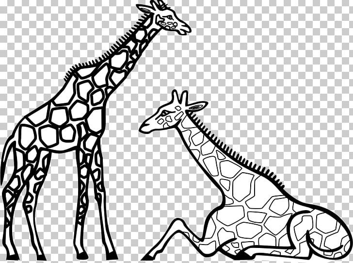 Giraffe Coloring Book Adult Cuteness Drawing PNG, Clipart, Adult, Animal, Animal Black And White, Art, Black And White Free PNG Download