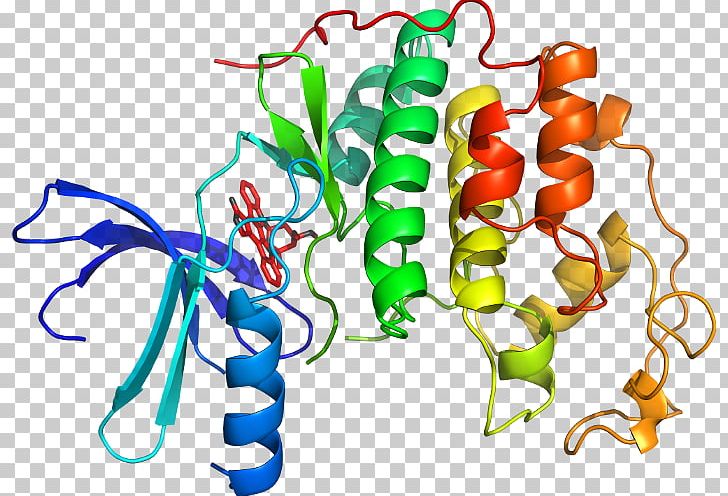 Vegetable Cyclin-dependent Kinase PNG, Clipart, Artwork, Atom, Chemical Compound, Cyclin, Cyclindependent Kinase Free PNG Download