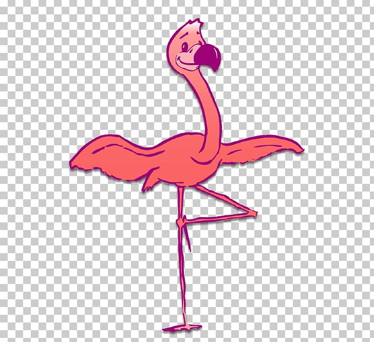 Bird PNG, Clipart, Animals, Beak, Bird, Cartoon, Flamingo Free PNG Download