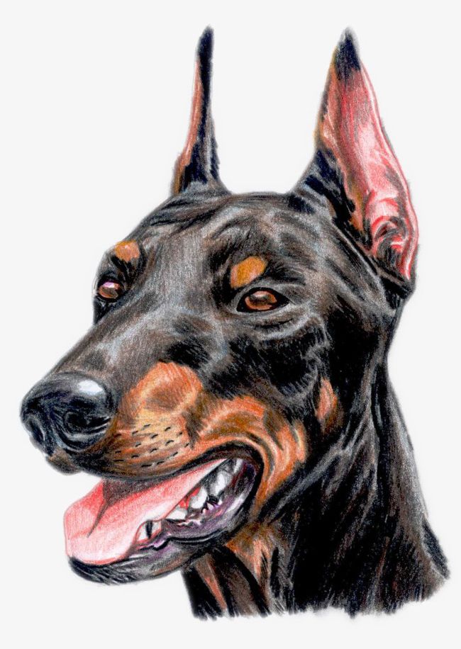 Exquisite Hand-painted Dogs Avatar PNG, Clipart, Dog, Hand, Hand Painted, Head, Head Portrait Free PNG Download