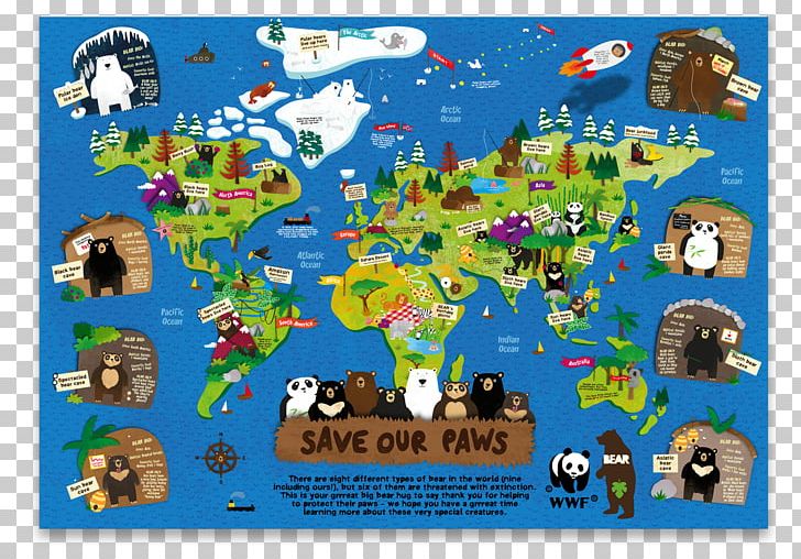 Grizzly Bear Koala World Map PNG, Clipart, Alaska Peninsula Brown Bear, Animal, Animals, Bear, Biome Free PNG Download