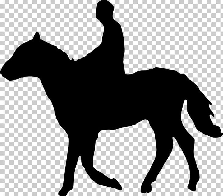 Horse Stallion Equestrian Eventing PNG, Clipart, Animals, Black, Dressage, English Riding, Equestrian Free PNG Download