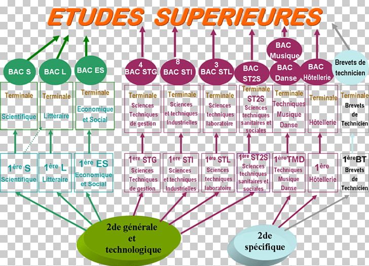 Après Le Bac S: Bien Choisir Pour Réussir Seconde Générale Et Technologique Career Counseling Baccalauréat PNG, Clipart, Area, Berufsausbildung, Brand, Career Counseling, Diagram Free PNG Download