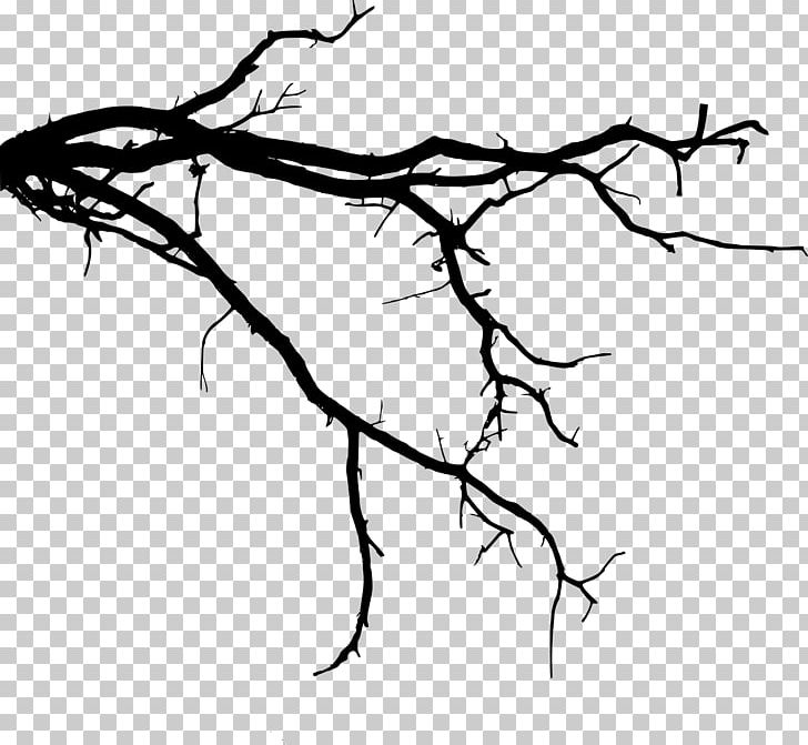 Branch Tree PNG, Clipart, Area, Art, Artwork, Black And White, Branch Free PNG Download