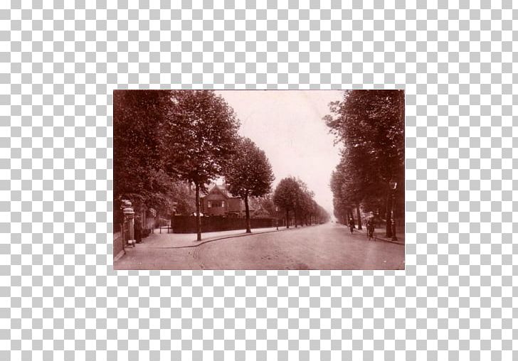 Hampstead Heath Fitzjohn's Avenue Stock Photography PNG, Clipart,  Free PNG Download