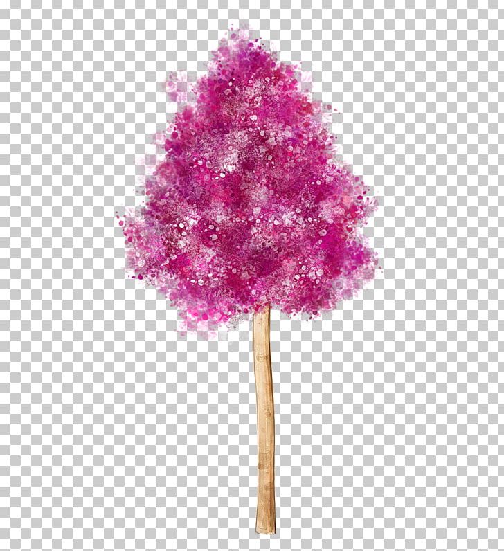 Tree Photography PNG, Clipart, Albom, Arbor Day, Branch, Clip Art, Information Free PNG Download