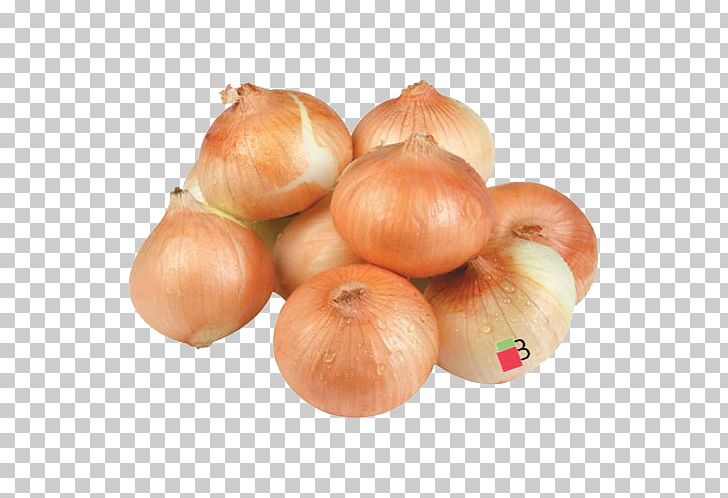 Yellow Onion Shallot Vegetable Organic Food PNG, Clipart, Carrot, Cauliflower, Eating, Food, Food Drinks Free PNG Download
