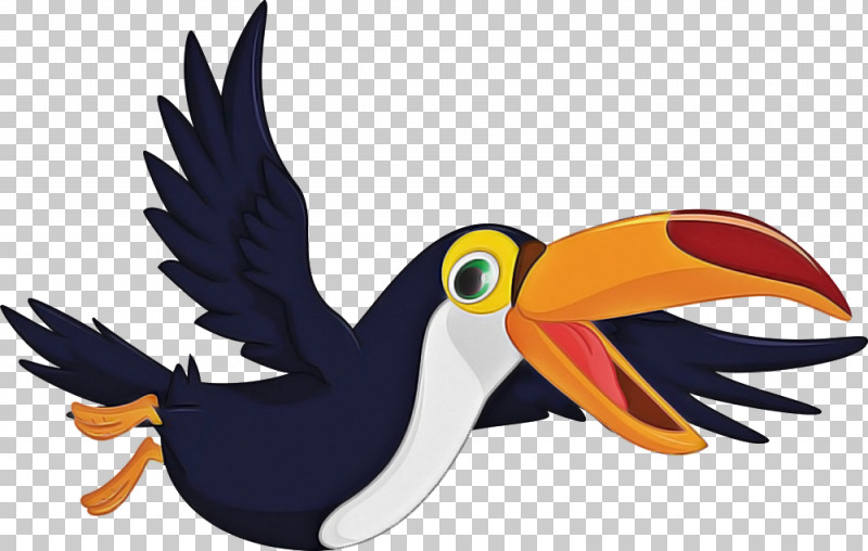 Toucan Bird Beak Cartoon Piciformes PNG, Clipart, Animal Figure, Beak, Bird, Cartoon, Hornbill Free PNG Download