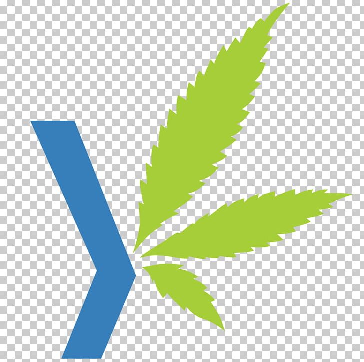Canada Legality Of Cannabis Legalization Medical Cannabis PNG, Clipart, 420 Day, Canada, Cannabis, Cannabis Au Canada, Cannabis Industry Free PNG Download
