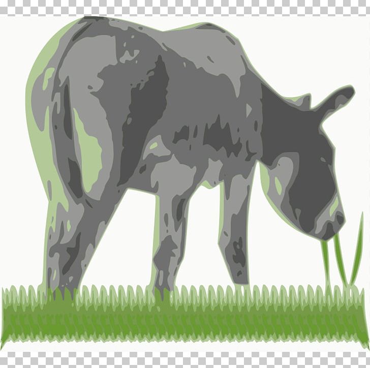 Cattle Computer Icons PNG, Clipart, Ass, Cattle, Cattle Like Mammal, Computer Icons, Desktop Wallpaper Free PNG Download