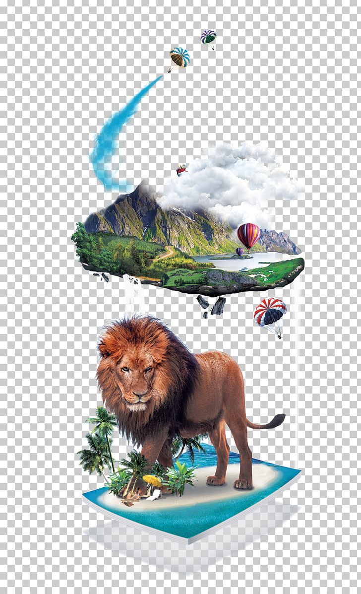 Creativity PNG, Clipart, Air, Animal, Black Forest, Carnivoran, Computer Graphics Free PNG Download