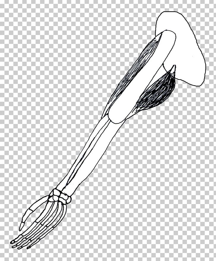 Whisk Line Art H&M PNG, Clipart, Arm, Art, Black And White, Clip, Drawing Free PNG Download