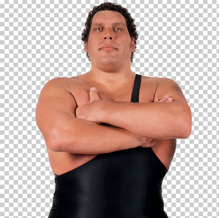 André The Giant Memorial Battle Royal Professional Wrestler WWE Professional Wrestling PNG, Clipart, Abdomen, Active Undergarment, Arm, Barechestedness, Battle Royal Free PNG Download