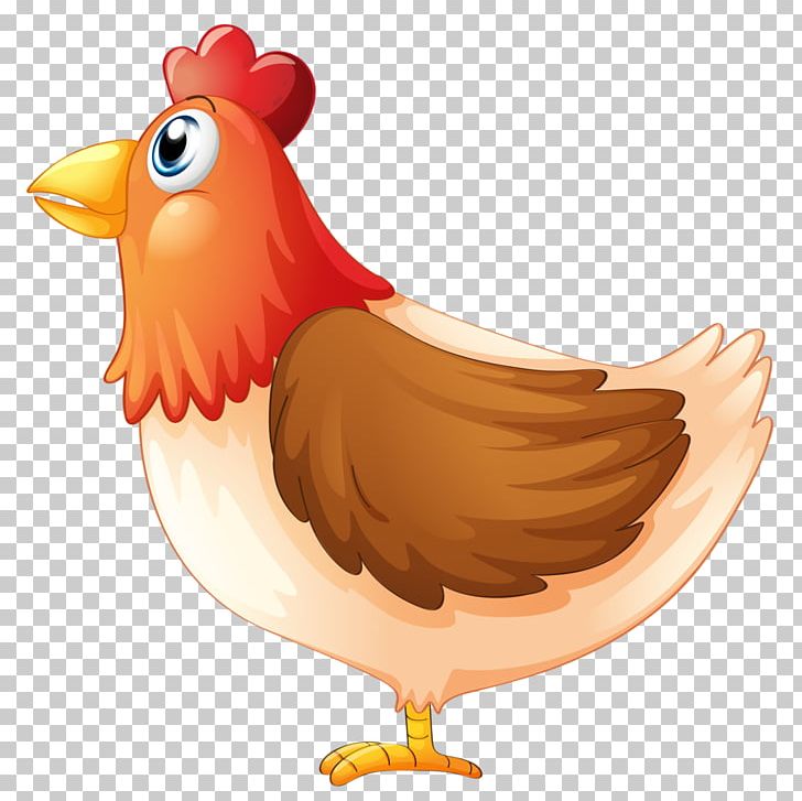 Chicken Cartoon Mother PNG, Clipart, Animals, Beak, Bird, Cartoon, Chicken  Free PNG Download