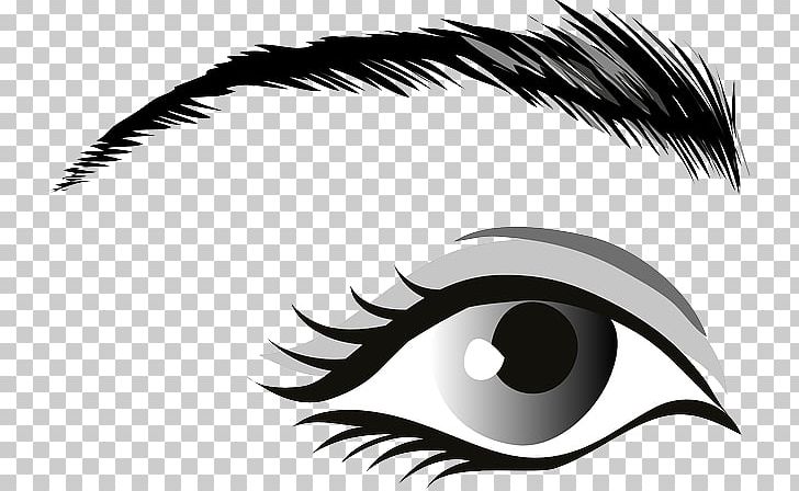 Eye Color PNG, Clipart, Black, Black And White, Black Eye, Blue, Closeup Free PNG Download