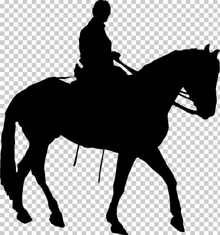 Horse Equestrian Dressage PNG, Clipart, Animals, Black And White, Bridle, Collection, Cowboy Free PNG Download