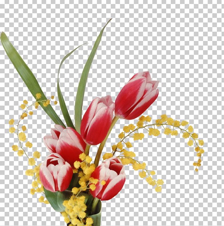 Laptop High-definition Television Flower PNG, Clipart, 4k Resolution, 1080p, 1440p, Blossom, Branch Free PNG Download