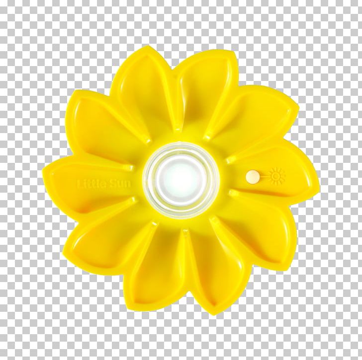 Light Solar Lamp LED Lamp Little Sun PNG, Clipart, Artist, Daisy Family, Electricity, Flower, Flowering Plant Free PNG Download