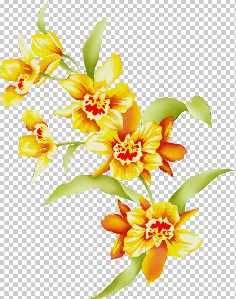 Floral Design PNG, Clipart, Cut Flowers, Daffodil, Dendrobium, Evening Primroses, Floral Design Free PNG Download