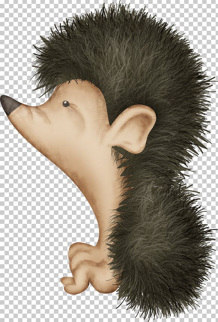 Hedgehog Cartoon Echidna PNG, Clipart, Animals, Balloon Cartoon, Boy Cartoon, Cartoon, Cartoon Alien Free PNG Download