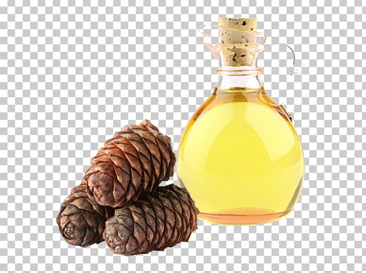 Cedar Oil Cedar Wood Essential Oil PNG, Clipart, Barware, Cedar, Cedar Oil, Cedar Wood, Chemical Substance Free PNG Download