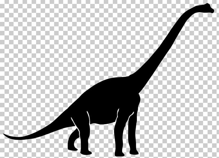 Diplodocus Brachiosaurus Tyrannosaurus Brontosaurus Ankylosaurus PNG, Clipart, Apatosaurus, Black And White, Brachiosaurus, Brontosaurus, Cat Free PNG Download
