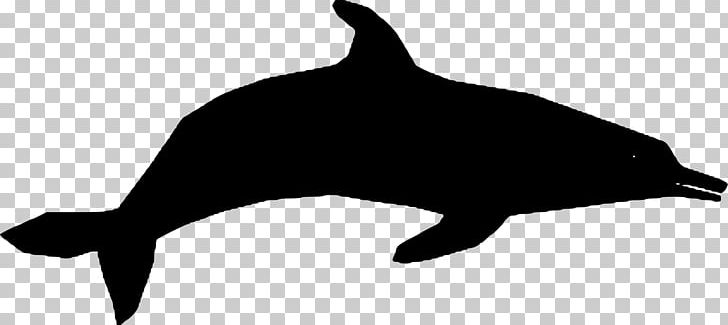 Dolphin Computer Icons PNG, Clipart, Animals, Beak, Bird, Black, Black And White Free PNG Download