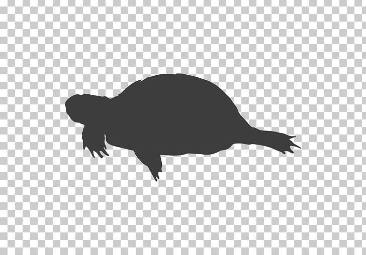 Tortoise Sea Turtle Silhouette PNG, Clipart, Animals, Black And White, Chinese Softshell Turtle, Download, Encapsulated Postscript Free PNG Download