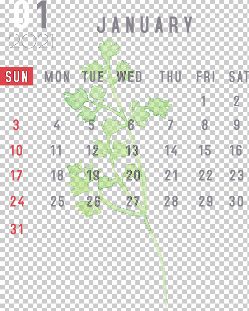 Nexus S Leaf Plant Stem Flower Meter PNG, Clipart, Calendar System, Flower, Google Nexus, January, January Calendar Free PNG Download