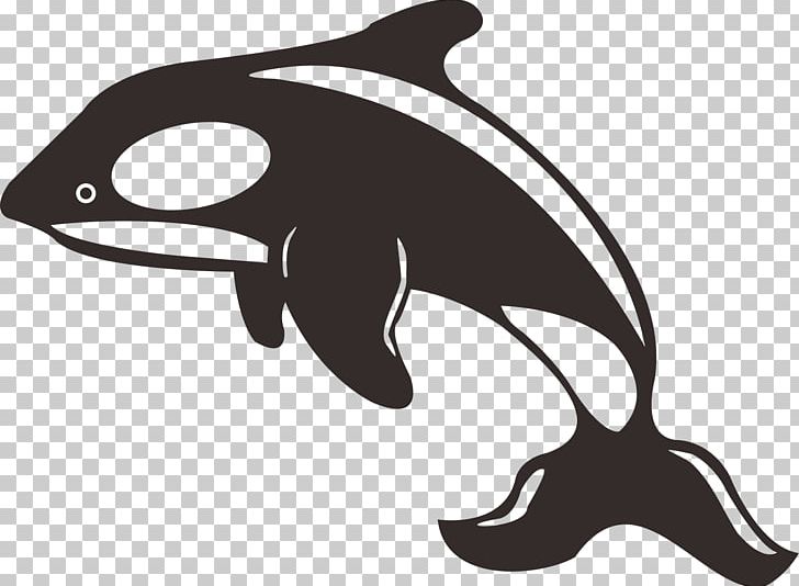 dolphin cartoon black and white