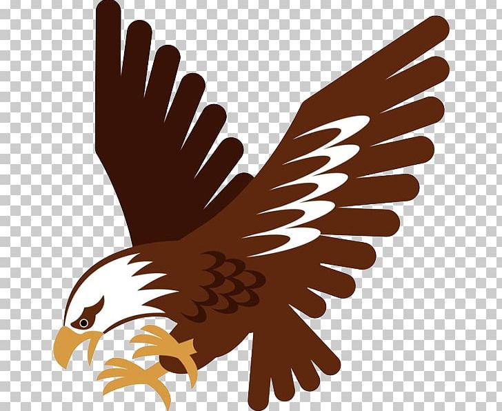 Stock Photography Hawk Illustration PNG, Clipart, Animals, Bald, Bald Eagle, Beak, Big Free PNG Download