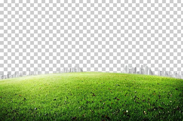 Grasses Icon PNG, Clipart, Artificial Turf, Autumn Meadow, Background, Computer Wallpaper, Desktop Wallpaper Free PNG Download