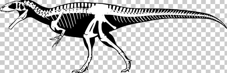 Torvosaurus Tyrannosaurus Portugal Skeleton Animal PNG, Clipart, Animal, Bite, Black And White, Bones, Carcharodontosaurus Free PNG Download