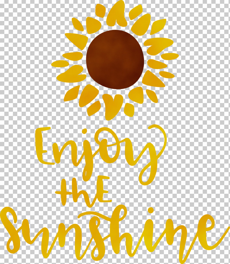 Cut Flowers Sunflower Seed Petal Yellow Sunflowers PNG, Clipart, Biology, Cut Flowers, Flower, Happiness, Meter Free PNG Download