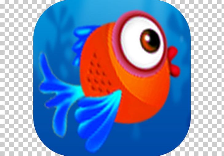Beak Macaw Marine Biology Desktop PNG, Clipart, Beak, Biology, Closeup, Closeup, Computer Free PNG Download
