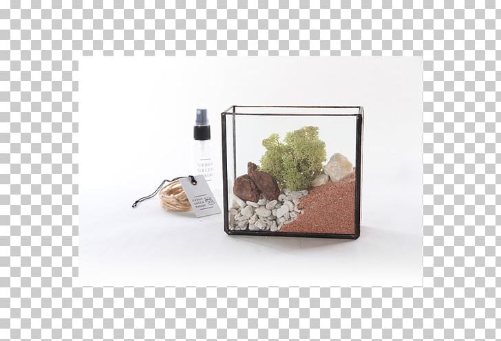 Terrarium Glass Crystal Mason Jar Poly PNG, Clipart, Aquarium, Bottle, Crystal, Glass, Glass Box Free PNG Download