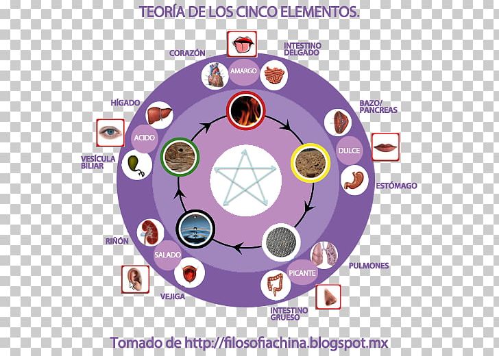 Diagram Organism PNG, Clipart, Art, Circle, Diagram, Organism, Purple Free PNG Download