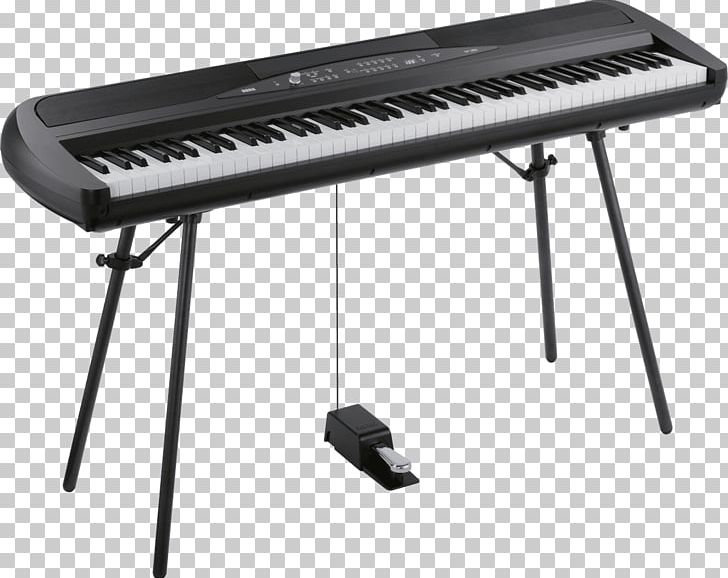 Digital Piano Stage Piano Keyboard Korg PNG, Clipart, Action, Concert, Dynamics, Electric Piano, Electronic Instrument Free PNG Download