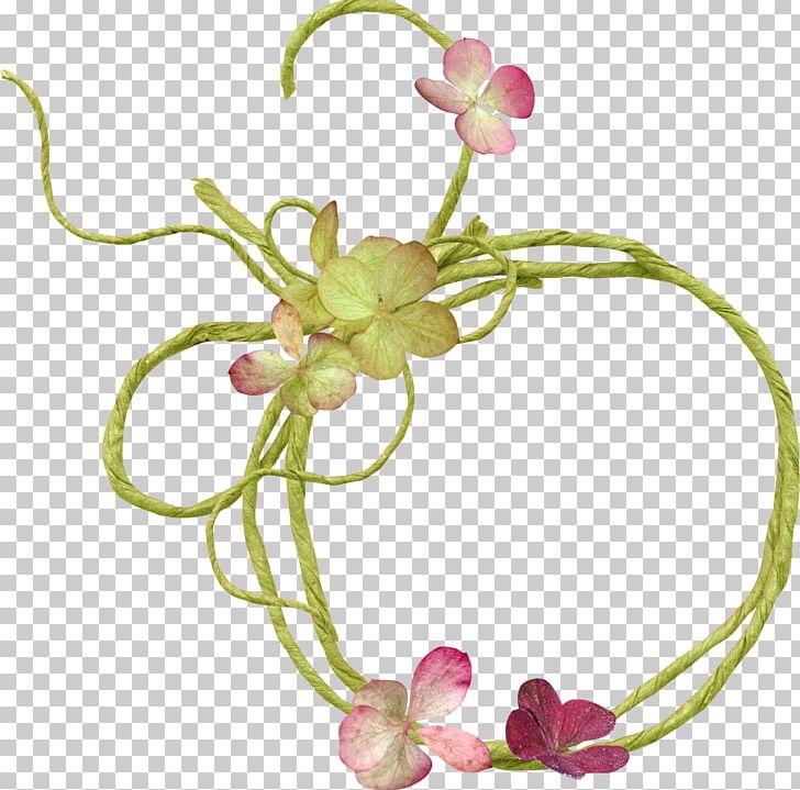 Frames Floral Design Photography PNG, Clipart, Author, Body Jewelry, Cut Flowers, Fashion Accessory, Flor Free PNG Download